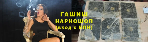 гидра Покачи