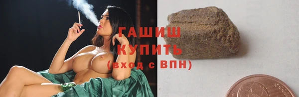 гидра Покачи