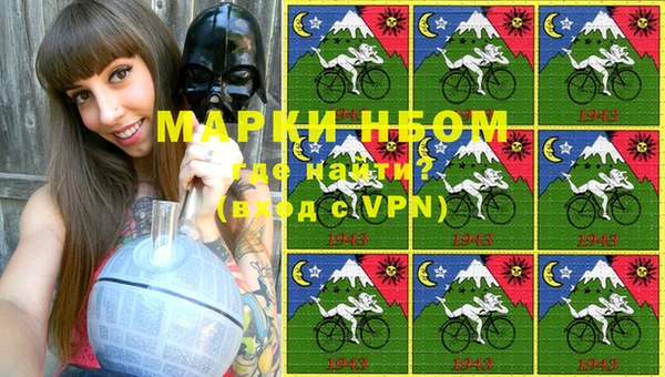 гидра Покачи