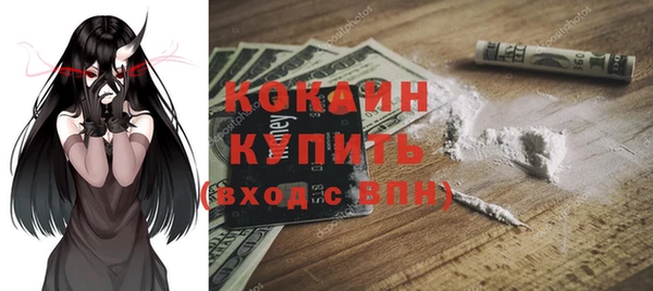 гидра Покачи