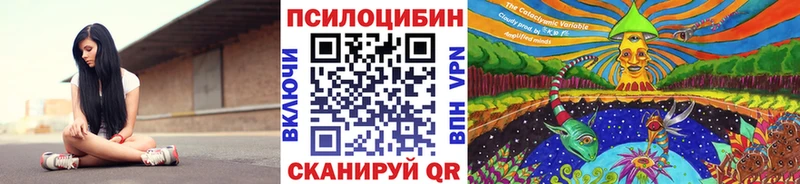 Псилоцибиновые грибы GOLDEN TEACHER  Купить где  Заволжск 